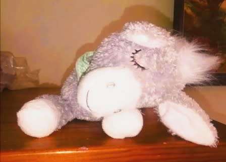 Snoozy the sleepy little donkey with a very floppy head. Cute as a button. 20cm.