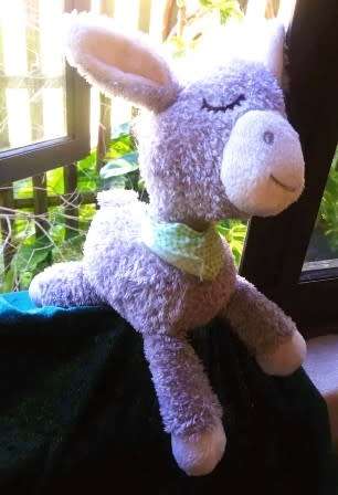 Snoozy the sleepy little donkey with a very floppy head. Cute as a button. 20cm.