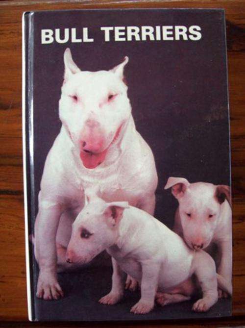 Bull Terriers - A Must Have For Bull Terrier Lovers and Breeders!!