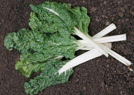 Spinach Fordhook Giant Organic - 50 Seeds (3 for the Price of 1)