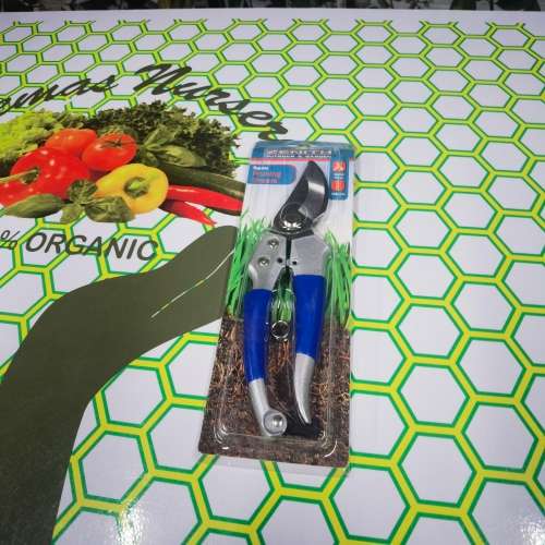 Pruning Shears Blue Handle