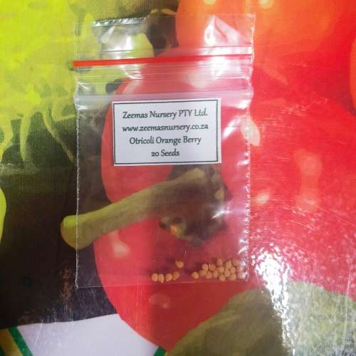 Otricoli Orange Berry Organic - 20 Seeds