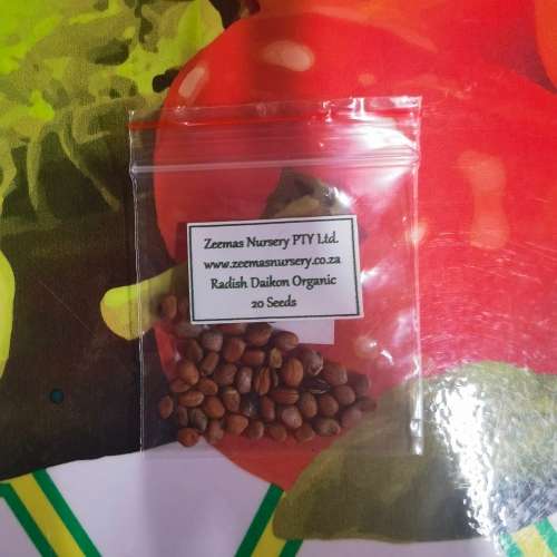 Radish Daikon Organic - 20 Seeds