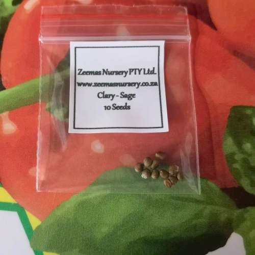 Clary Sage (10 Seeds)