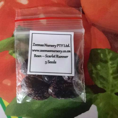 Bean Scarlet Runner (5 Seeds)