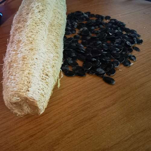 Luffa/Loofa Sponge Gourd