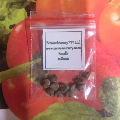Rozelle (10 Seeds)