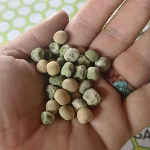 Pea Super Snappy (30 Seeds)