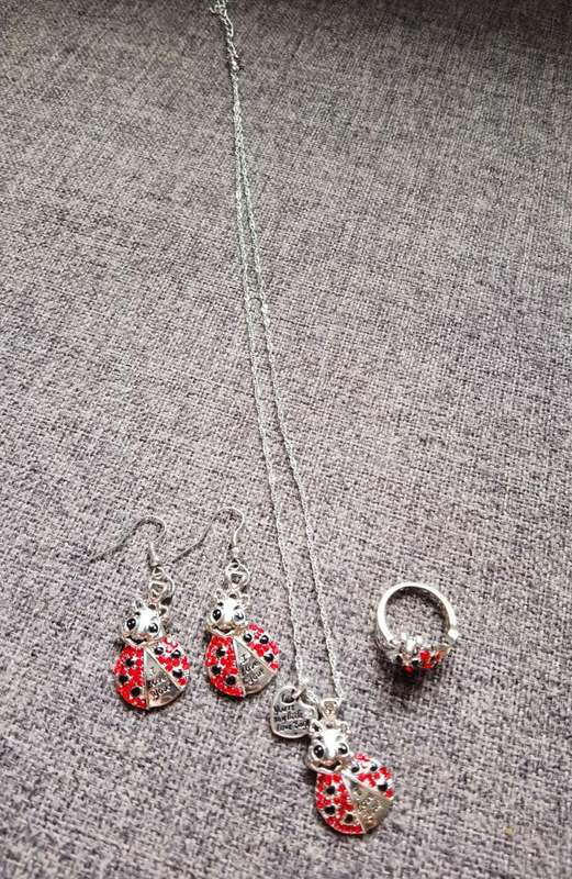 Ladybug Necklace and Earring Set - 4 Piece