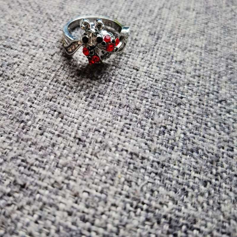 Ladybug Necklace and Earring Set - 4 Piece