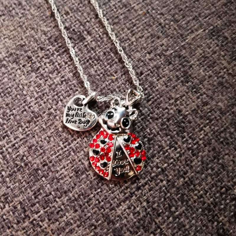Ladybug Necklace and Earring Set - 4 Piece