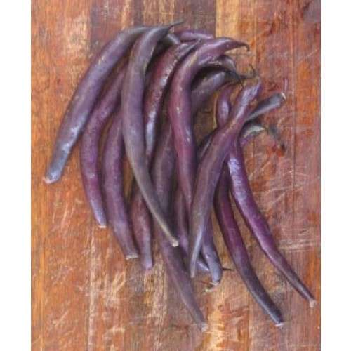 Bean Pole Blue Peter Runner (10 Seeds)