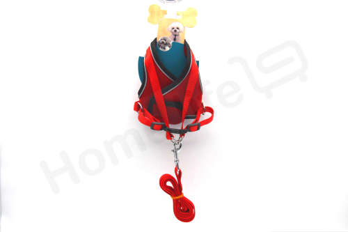Dog Harness