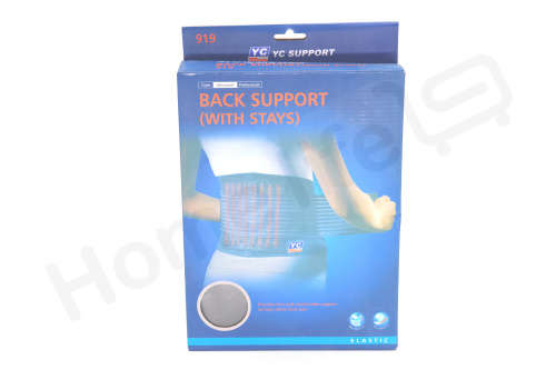 Back Support Belt With Stays