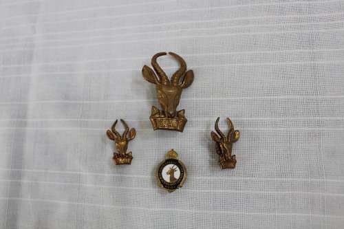 Badges Infantry x 4.....all for R 80!