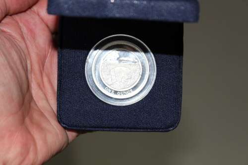 Silver 1oz Proof coin - encapsulated
