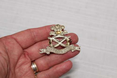 North Staffordshire cap badge - excellent!