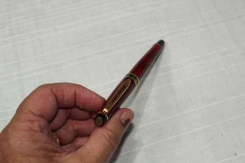 Waterman Expert fountain pen.....great condition - REDUCED