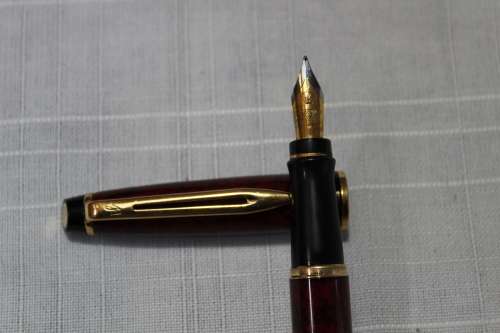 Waterman Expert fountain pen.....great condition - REDUCED