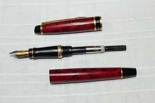 Waterman Expert fountain pen.....great condition - REDUCED