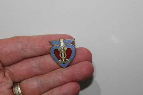 Blood Transfusion enameled badge - numbered - very early one