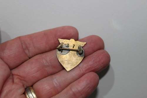 Blood Transfusion enameled badge - numbered - very early one