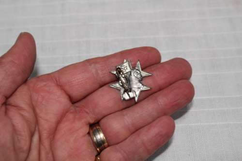 Rare Baragwaneth Eye Hospital badge