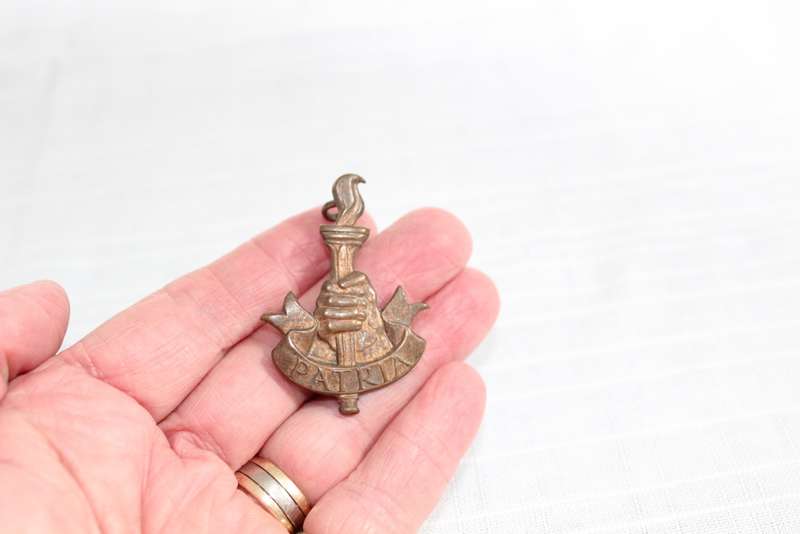 WW2 Youth Training Brigade cap badge