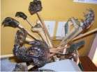 Crocodile Back Scratcher