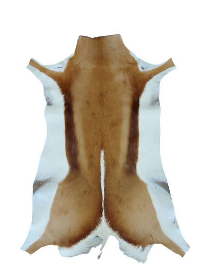 SPRINGBOK SKIN RUGS  %100 ORGINAL