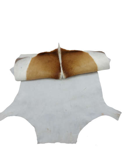 SPRINGBOK SKIN RUGS  %100 ORGINAL