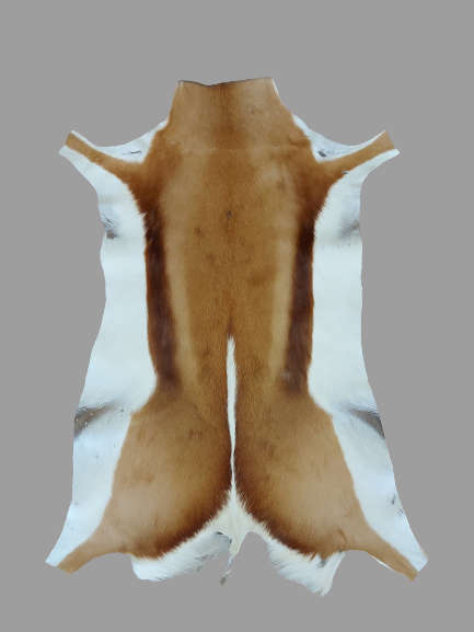 SPRINGBOK HIDE   (  FREE DELIVERY )