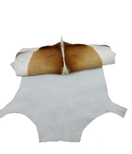 SPRINGBOK HIDE   (  FREE DELIVERY )