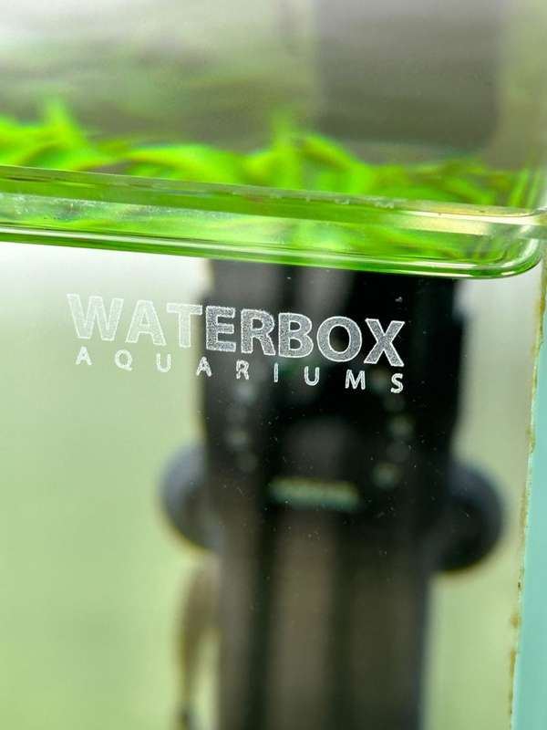 WATERBOX AQUARIUMS  MARINE X 110.4