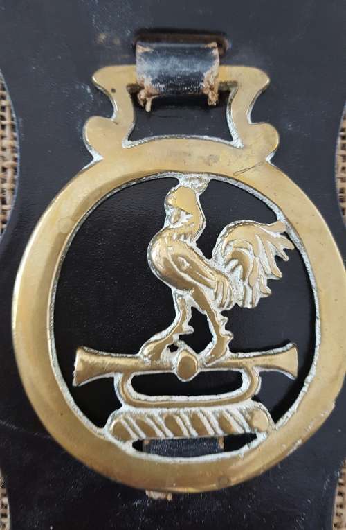 A TRIO OF OLD HORSE BRASSES ON A LEATHER STRAP