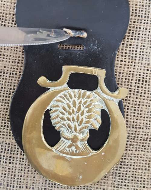 A TRIO OF OLD HORSE BRASSES ON A LEATHER STRAP