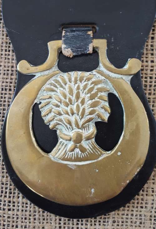 A TRIO OF OLD HORSE BRASSES ON A LEATHER STRAP