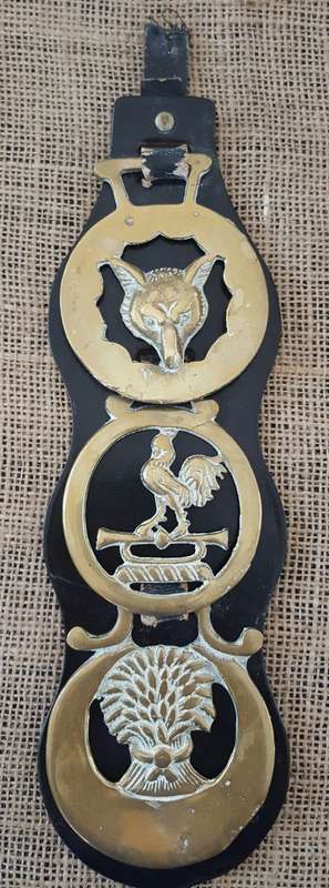 A TRIO OF OLD HORSE BRASSES ON A LEATHER STRAP