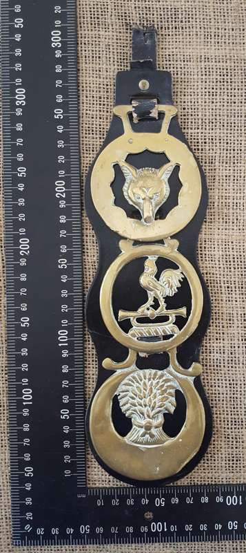 A TRIO OF OLD HORSE BRASSES ON A LEATHER STRAP