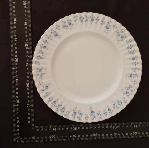 Two Royal Albert "Memory Lane" Dinner Plates - (26 cm ) One bid for both