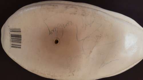 RUBY WORLD CUP 1995 - AUTOGRAPHED RUGBY BALL, INCLUDING FRANCOIS PIENAAR *RELISTING*