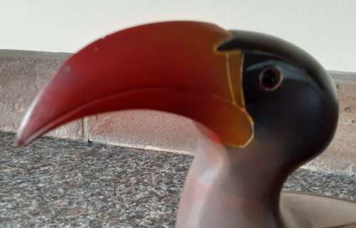 FEATHERS OF KNYSNA large Crowned Hornbill