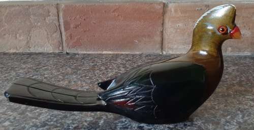 BIRDS OF AFRICA IN KNYSNA - Knysna Lourie in perfect condition