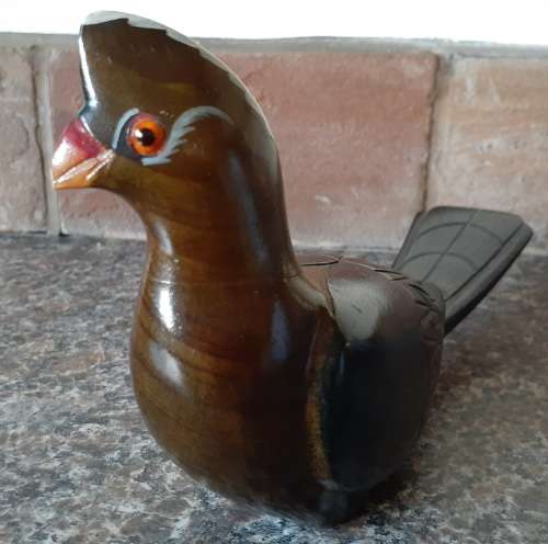BIRDS OF AFRICA IN KNYSNA - Knysna Lourie in perfect condition