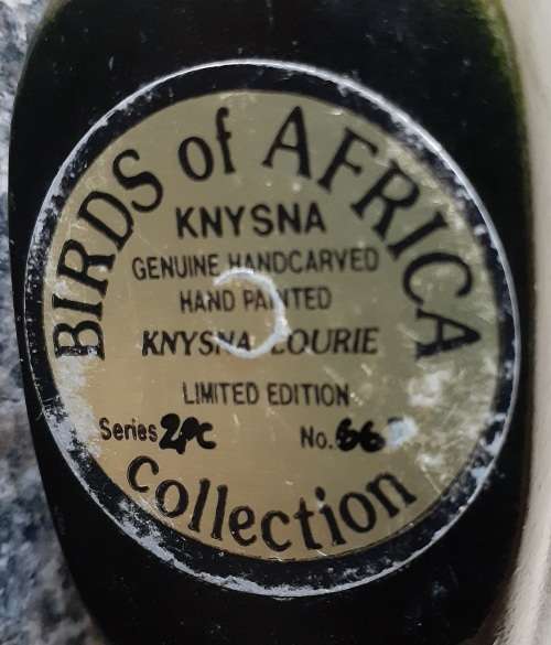 BIRDS OF AFRICA IN KNYSNA - Knysna Lourie in perfect condition