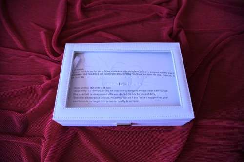 Watch Display Case