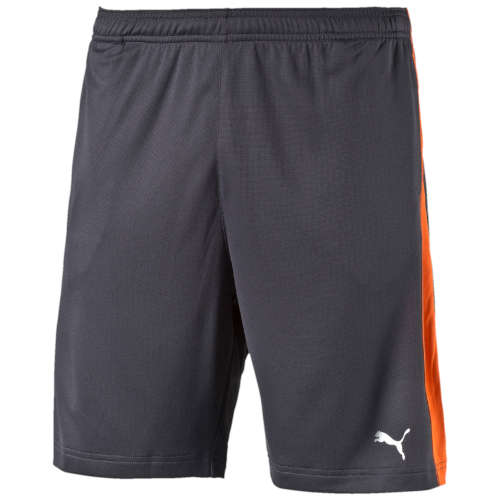 PUMA DRY ESSENTIAL JERSEY SHORTS SIZE EXTRA LARGE!!!!!MARKET VALUE R599.99