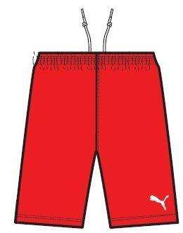 PUMA ADRENO DRY CELL SHORT FOR MEN SIZE LARGE !!!!MARKET VALUE R599.99
