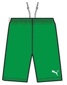 PUMA ADRENO DRY CELL SHORT FOR MEN SIZE LARGE !!!!MARKET VALUE R599.99