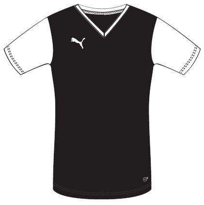 PUMA ADRENO TSHIRT  FOR MEN SIZE LARGE !!!!MARKET VALUE R599.99
